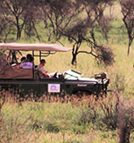 Black Rhino Game Reserve