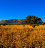 Black Rhino Game Reserve