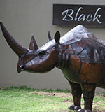 Black Rhino Game Reserve