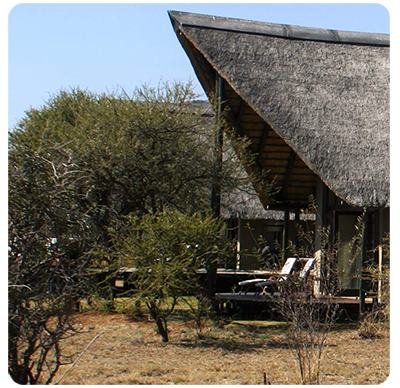 Black Rhino Game Reserve