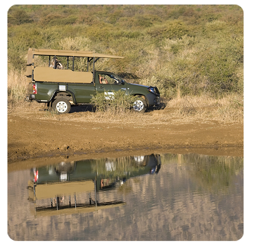 Black Rhino Reserve Rentals