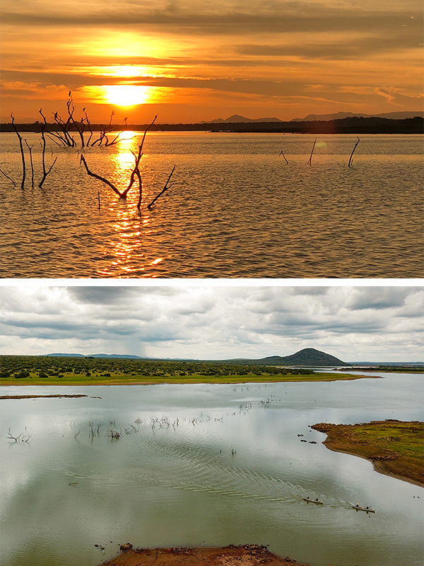 Finfoot Lake Reserve